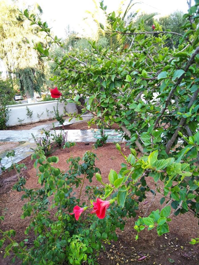 Cretanvibes Apartments Hersonissos  Bagian luar foto