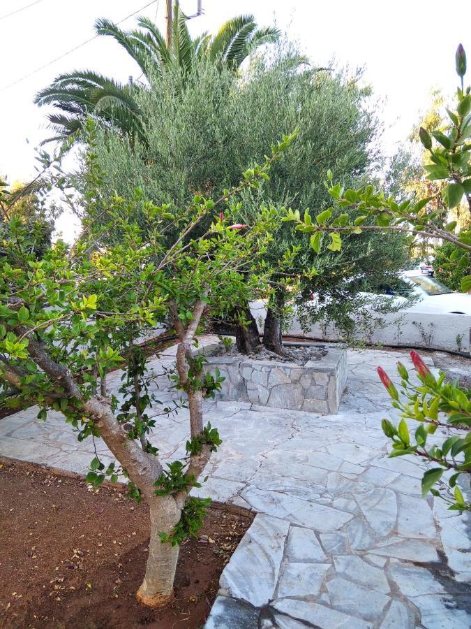 Cretanvibes Apartments Hersonissos  Bagian luar foto