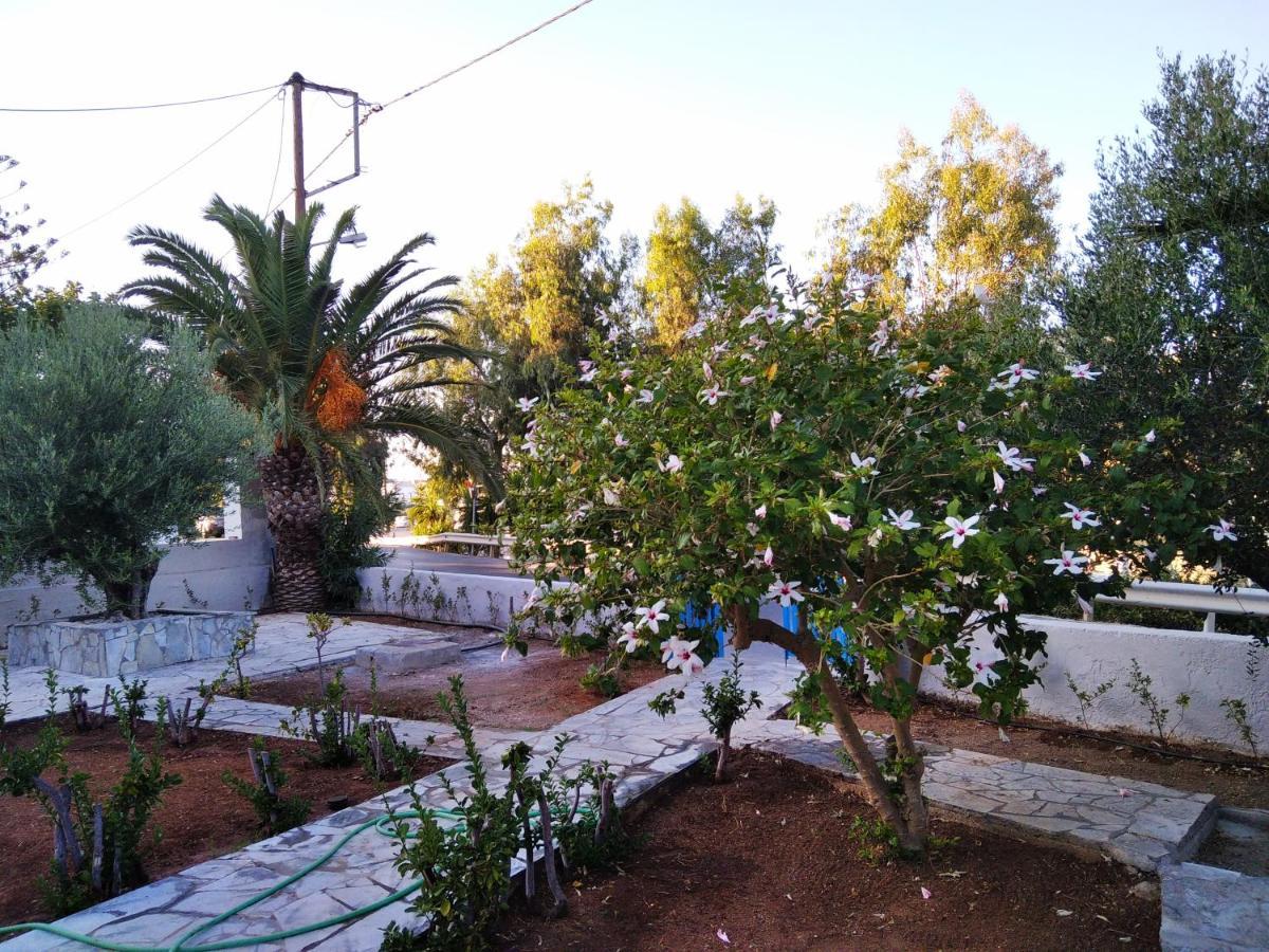 Cretanvibes Apartments Hersonissos  Bagian luar foto