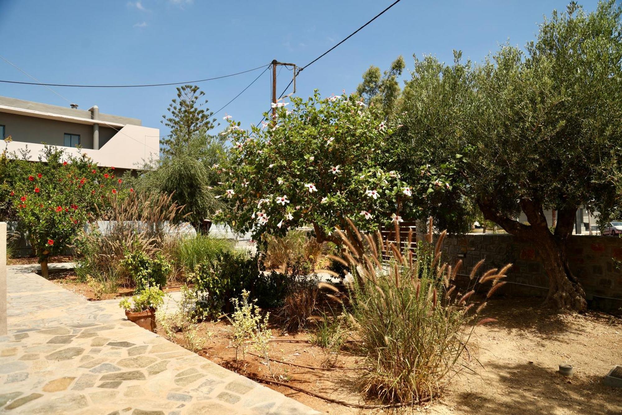 Cretanvibes Apartments Hersonissos  Bagian luar foto